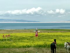 -青海湖国家重点风景名胜区