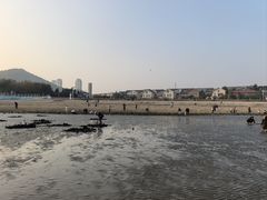 -黑石礁公园