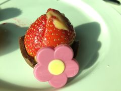 -澳门旅游塔360°旋转餐厅(南湾湖广场店)