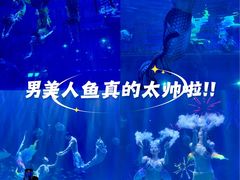 -华夏文旅海洋公园