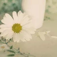 -蟹肉煲蟹肉(阊胥路店)