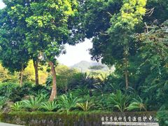 -深圳仙湖植物园