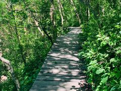 -白草畔自然风景区