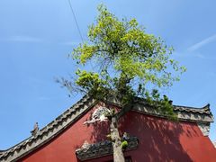 -长春观
