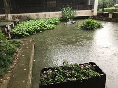 -鼓楼(西湖风景名胜区)