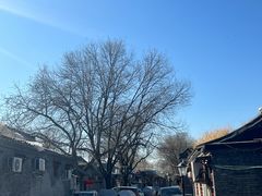 -护国寺小吃(地安门店)