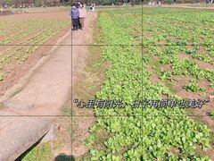 -八卦田遗址公园