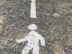 -上海佘山国家森林公园西佘山园