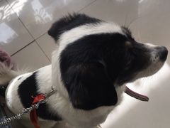 -平行世界·猫咖(首经贸店)
