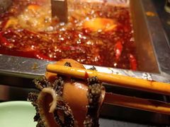 -蜀江龙火锅(339店)