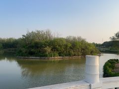 -塘沽森林公园