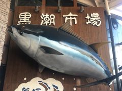 -黑潮市场