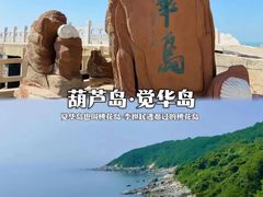 -棒棰岛宾馆景区