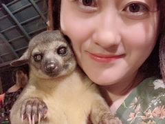 -清迈夜间动物园