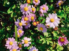 -白草畔自然风景区