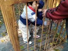-北京麋鹿生态实验中心