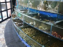 水产区-蟹谢蒸鲜自助餐厅