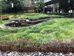 -星巴克(北京西大望路温特莱店)