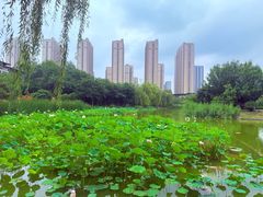 -木塔寺遗址生态公园