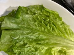 -猫抓烤肉(春熙路店)