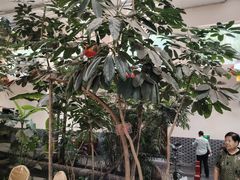 -兴芮温泉度假区