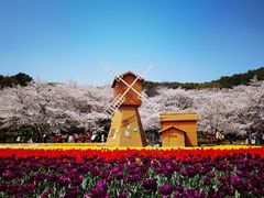 -苏州上方山国家森林公园