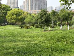 -艾溪湖湿地公园