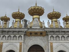 -上海东林寺(金山区)