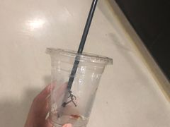 -常识咖啡common sense(春熙路店)