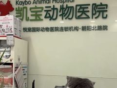 -悦宠凯宝动物医院·牙科·皮肤科(朝阳北路店)