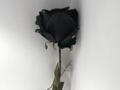 -深圳失恋博物馆再见前任(汇商名苑店)