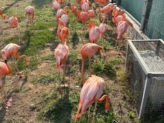 -秦皇岛野生动物园