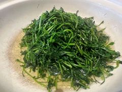 豆苗-二十八里太湖船菜(吉祥路店)