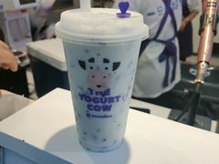 -一只酸奶牛(八一路店)