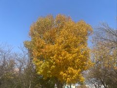 -亮亮拉面(师范路店)