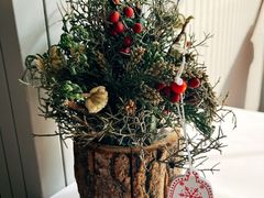 -蝶舍·MAISON PAPILLON