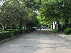 -襄阳刘集机场