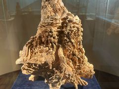 -香市公园-中国沉香文化博物馆