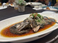 -骏莱海鲜鱼港(五角场店)