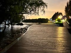 -宝安西湾红树林湿地公园