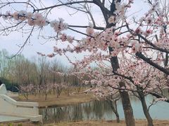 -东郊湿地公园