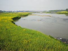 -稻香村鱼庄