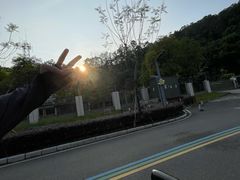 -顺峰山公园