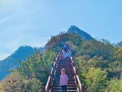 -大岭沟猕猴桃谷风景区