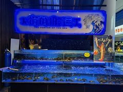 水产区-驻海渔市(置信店)