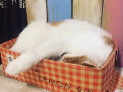 -小时光咖啡馆(开森度假森林店)