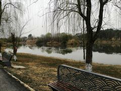 -白鹭湾湿地公园