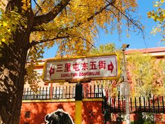 -三里屯东五街银杏大道