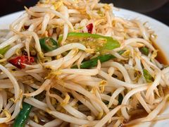炒豆芽-三中高皇羊肉馆