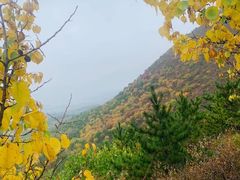 -百里山水画廊